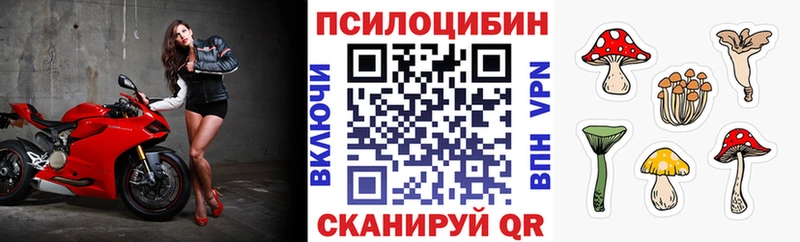 Купить закладки  Егорьевск  Псилоцибиновые грибы ЛСД 